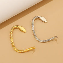 Load image into Gallery viewer, Creative Serpentine Zircon Earrings
