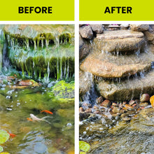 Load image into Gallery viewer, Algae Repellent Agent
