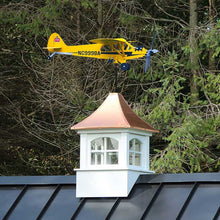 Load image into Gallery viewer, Airplane Weathervane
