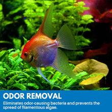 Load image into Gallery viewer, Aquarium Purifying Powder

