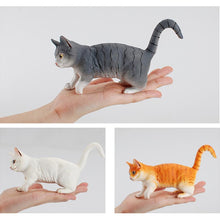 Load image into Gallery viewer, Cat Model Static Decoration Toy
