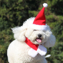 Load image into Gallery viewer, Christmas Decoration Santa Hat with Scarf
