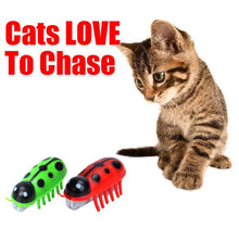 Load image into Gallery viewer, Super Robot Bug Toy for Cats - 2 Pcs
