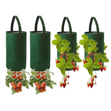 Load image into Gallery viewer, Hanging Strawberry Planting Bag
