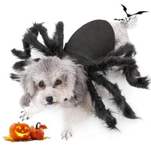 Load image into Gallery viewer, Spider Costume for Pets
