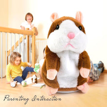 Load image into Gallery viewer, Amazing Talking Hamster Mouse Toy
