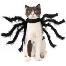 Load image into Gallery viewer, Spider Costume for Pets
