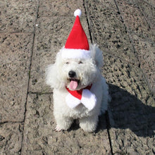 Load image into Gallery viewer, Christmas Decoration Santa Hat with Scarf
