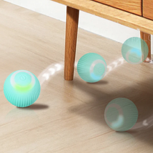 Load image into Gallery viewer, 2 in 1 Simulated Interactive Hunting Cat Toy
