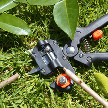 Load image into Gallery viewer, Domom® Professional Garden Grafting Tool Kit
