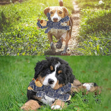 Load image into Gallery viewer, Indestructible Robust Bear
