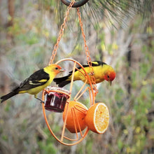 Load image into Gallery viewer, Oriole Bird Feeder Orange
