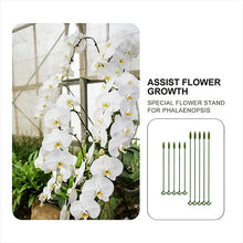 Load image into Gallery viewer, Plant Support Stake
