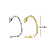 Load image into Gallery viewer, Creative Serpentine Zircon Earrings
