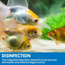 Load image into Gallery viewer, Aquarium Purifying Powder
