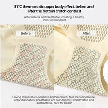 Load image into Gallery viewer, Ice Silk Ion Fibre Tummy Control Underpants
