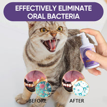 Load image into Gallery viewer, Teeth Cleaning Spray for Dogs &amp; Cats
