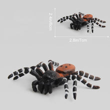 Load image into Gallery viewer, Simulation Spider Toy

