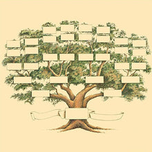 Load image into Gallery viewer, Family Tree Notebook
