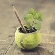 Load image into Gallery viewer, Sprout plantable graphite pencils - 8 Pcs
