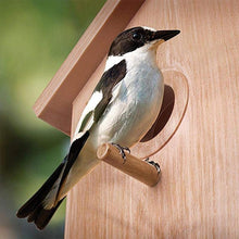 Load image into Gallery viewer, DIY Sucker Bird Nest
