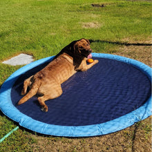 Load image into Gallery viewer, Folding Pet Bath Pad
