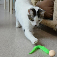Load image into Gallery viewer, Wiggly Cat Toys with Bells

