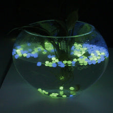 Load image into Gallery viewer, Outdoor Luminous Stones
