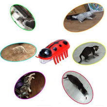 Load image into Gallery viewer, Super Robot Bug Toy for Cats - 2 Pcs

