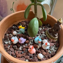 Load image into Gallery viewer, 🦆Tiny Ducks | Challenge Hiding Ducks(50 PCS)
