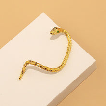 Load image into Gallery viewer, Creative Serpentine Zircon Earrings
