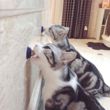 Load image into Gallery viewer, Cat Snack Nutrition Candy Ball
