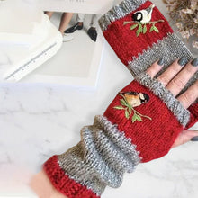 Load image into Gallery viewer, Warm Patchwork Embroidered Gloves
