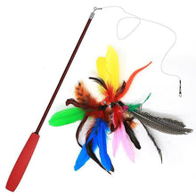 Load image into Gallery viewer, Feather Teaser Cat Toy Retractable Cat Feather Toy Wand
