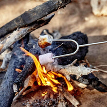 Load image into Gallery viewer, Telescopic Barbecue Forks
