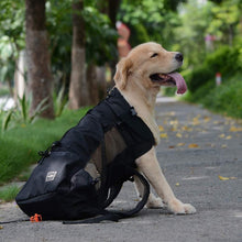 Load image into Gallery viewer, Double Backpack for the Pet Dog/Cat Passenger
