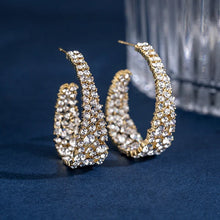 Load image into Gallery viewer, Fashionable Rhinestone Earrings
