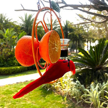 Load image into Gallery viewer, Oriole Bird Feeder Orange

