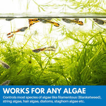 Load image into Gallery viewer, Aquarium Purifying Powder
