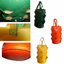Load image into Gallery viewer, Strawberry Planting Grow Bag
