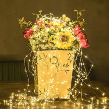 Load image into Gallery viewer, Solar Fairy String Light
