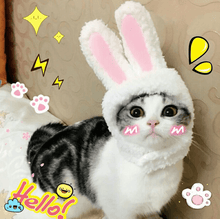 Load image into Gallery viewer, Cat Bunny Ears🔥
