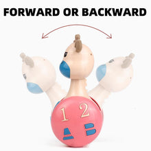 Load image into Gallery viewer, Sliding Tumbler Toy
