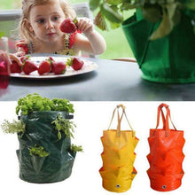 Load image into Gallery viewer, Strawberry Planting Grow Bag
