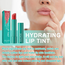 Load image into Gallery viewer, 24-Hours Moisture Hydrating Lip Tint
