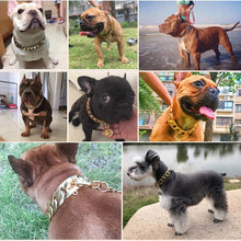 Load image into Gallery viewer, Diamond Pet Collar
