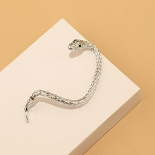 Load image into Gallery viewer, Creative Serpentine Zircon Earrings

