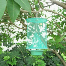 Load image into Gallery viewer, Flay Catcher for Indoor or Outdoor
