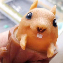 Load image into Gallery viewer, Squirrel cup decompression toy
