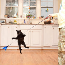 Load image into Gallery viewer, Feather Teaser Cat Toy Retractable Cat Feather Toy Wand
